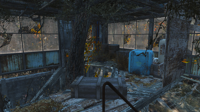 Которую насквозь пробило дерево