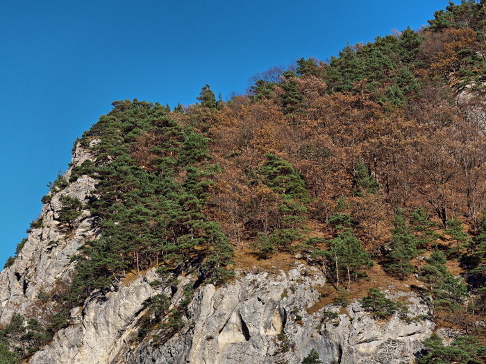 (<a href="https://pikabu.ru/story/severnaya_osetiya_11986838?u=https%3A%2F%2Fcommons.wikimedia.org%2Fwiki%2FFile%3ANorth_Ossetia._Alagirsky_District_PB060434_2475.jpg&t=%D0%BF%D0%BE%D0%BB%D0%BD%D0%BE%D1%80%D0%B0%D0%B7%D0%BC%D0%B5%D1%80&h=155cefb0df81f5225542b70dc4bbcb85df2ef0f5" title="https://commons.wikimedia.org/wiki/File:North_Ossetia._Alagirsky_District_PB060434_2475.jpg" target="_blank" rel="nofollow noopener">полноразмер</a>)