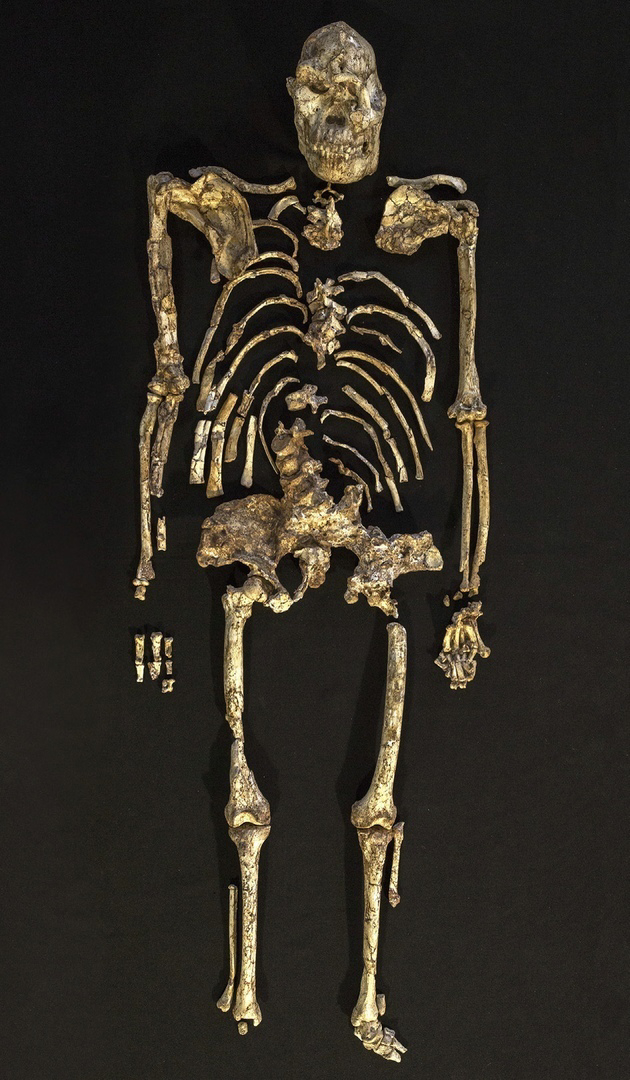  - ,         ,   &quot; &quot;