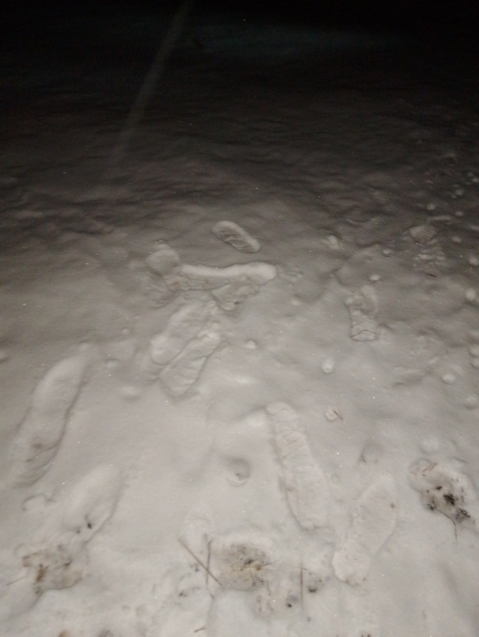 ������ ������� 4 ������ 2024