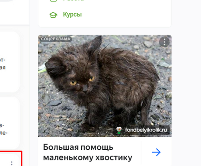 . " ".  2 ""  ,  , , , , , , ,  ,  , Telegram (), , 