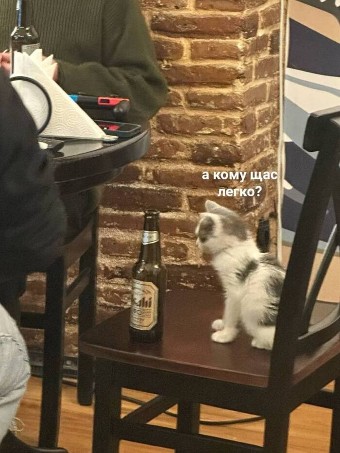 У котика был трудный день. Мы тебя не осуждаем, котик