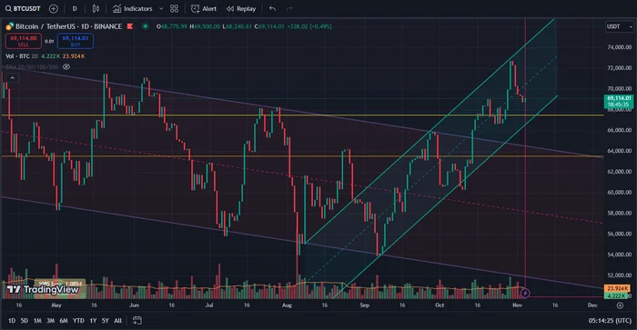 Обзор Btc/Usdt 08:15 понедельник, 4 ноября 2024г. (GMT+3 Москва) - Опрос, Криптовалюта, Биткоины, Инвестиции