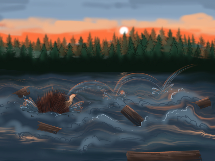 Иллюстратор: Дмитрий Лузянин