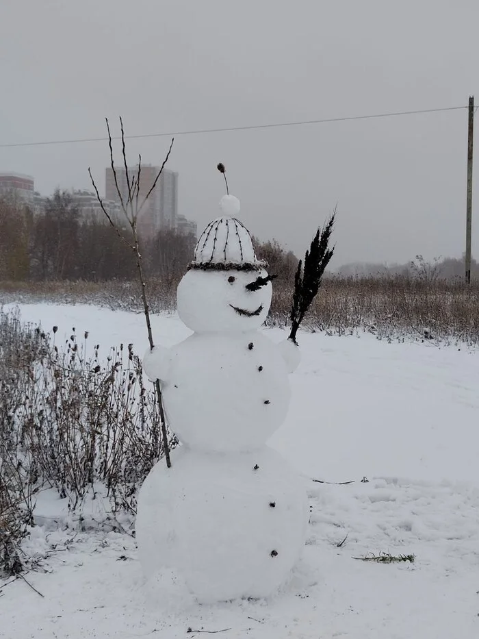 Snowman - My, snowman, Beautiful, Longpost, The photo