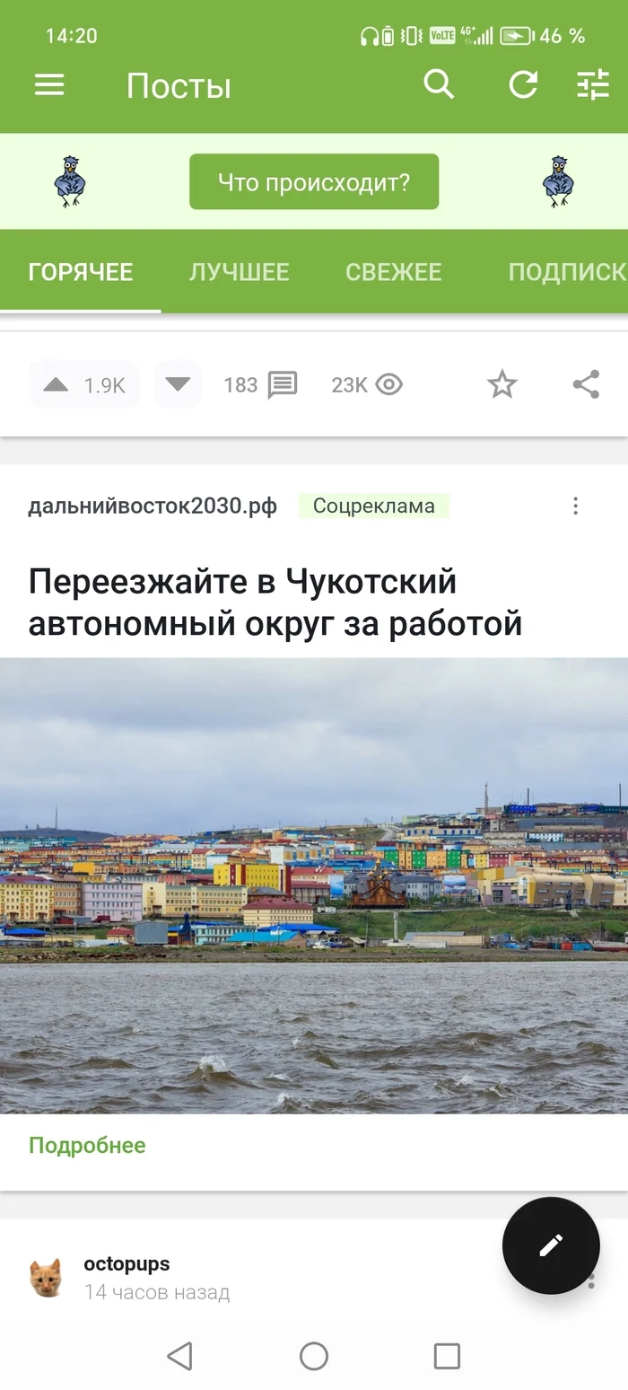 Real topic, who knows? - Work, Chukotka, Longpost, Advertising on Peekaboo, Screenshot, Question