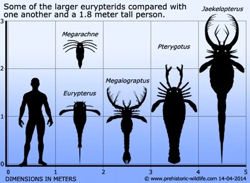 Arthrodires - the armored terror of the Devonian waters - Dunkleosteus and the armored whale - Titanichthys - My, Paleontology, A fish, Cephalopods, History (science), Whale, Sperm whale, Longpost