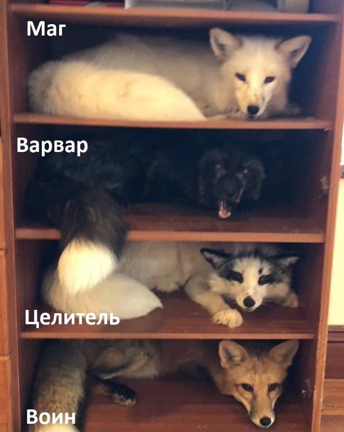   ... ,  ,   