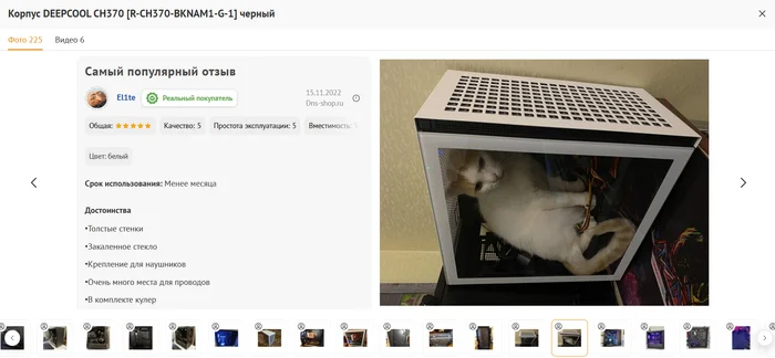 Review:) - Review, DNS, Online Store, Computer, PC case, cat, Screenshot