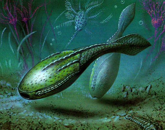 Наши предки - их панцыри идентичны зубной эмали - в общем плавающие зубы без челюсти