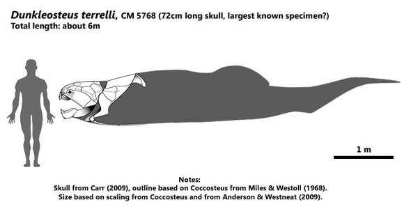 И кто терерь апекс-хищник