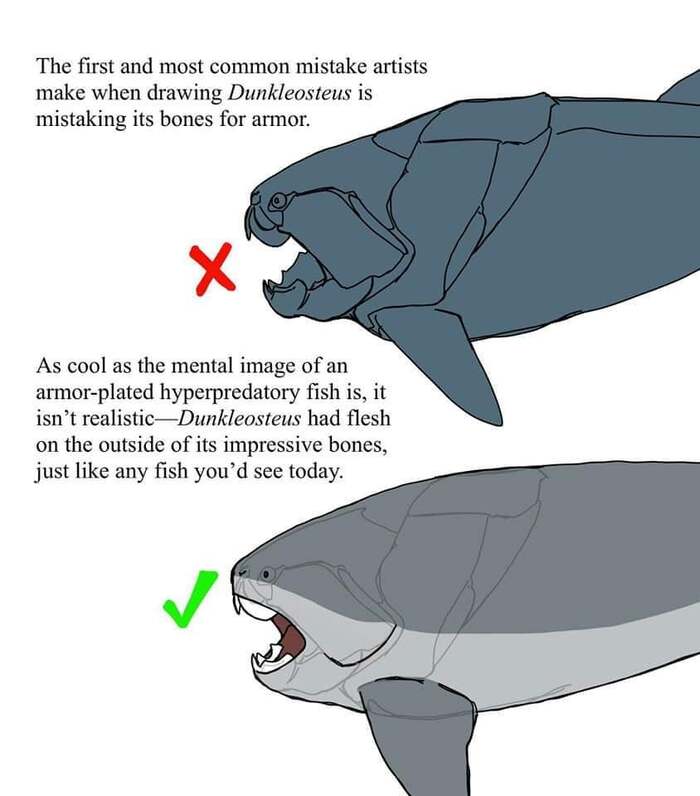 Пластины снаружи - пластины внутри