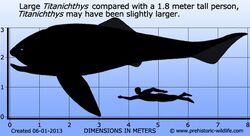 Плывем и едим одновремено