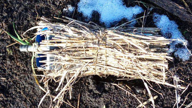 Очередная ПМД-подобная мина, сброшенная противником с дрона в район позиций наших. Замаскирована пучком травы. Но упала неудачно, крышкой вниз (фото из открытых источников)