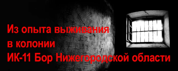 Из опыта выживания в колонии ИК-11 Бор Нижегородской области - Без рейтинга, ФСИН, Закон, Право, Прокуратура, Прокурор, Негатив, Жестокость, Исправительная колония, Месть, Наказание, Изоляция, Доведение до самоубийства, Издевательство, Заказ, Адвокат, Антисанитария, Нижегородская область, Судья, Яндекс Дзен (ссылка), Длиннопост