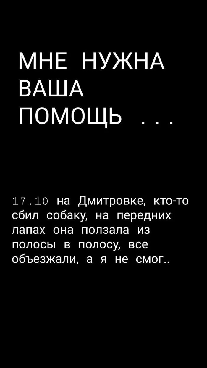 Славные парни - как два парня третьего спасли... - Моё, Без рейтинга, Собака, Спасение животных, Лига Добра, Спасение, Потеряшка, Доброта, Ветеринария, Видео, Без звука, Вертикальное видео, Длиннопост