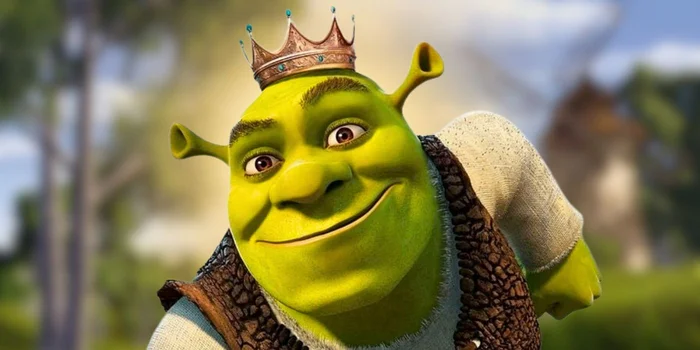 How I Got Kicked Out of Class Because of Shrek - My, Liberty, Reasoning, Thoughts, Emotions, Talk, Shrek, Movies, Calmness, Reality, Internal dialogue, The senses, Old, Wisdom, Loneliness, Personality, A life, Time, Ideal, School, Longpost