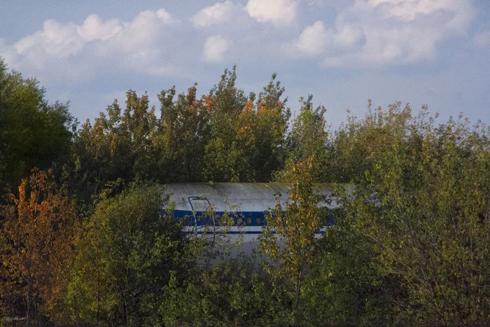 Tired - My, The photo, Airplane, Forest, Autumn, Appeasement