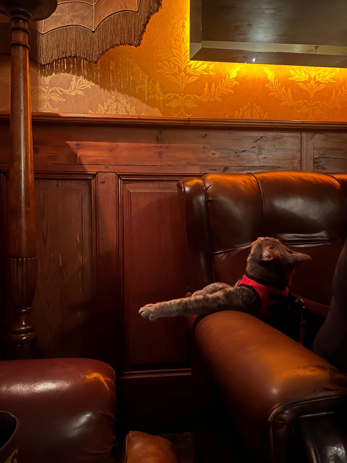 ��������� �����������