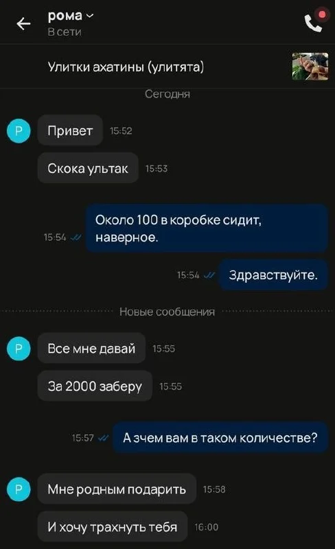 Романтика знакомств на Авито - Авито, Переписка, Мемы, Романтика, Скриншот, Мат