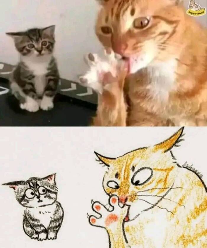    , , , , , 