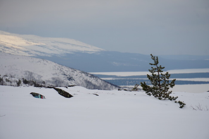 Скитуры Мончегорск Хибины горные туры горнолыжный комплекс Мурманск лыжи сноуборд снегоход
