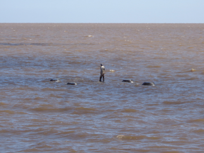 ������������ ����������� ����� ������. ��� ��������� ��������. ������ ��� ����� � �������� 14 ���.