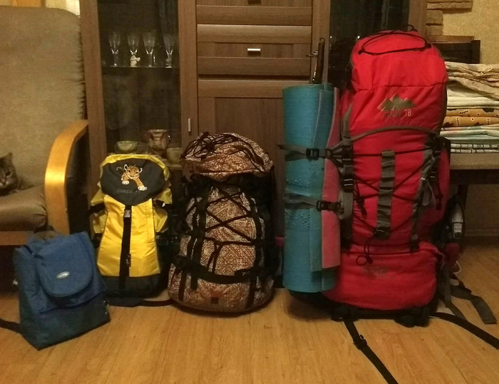  :      ( 4  ,   , --),   -13(   ),   60+(  ),   78+