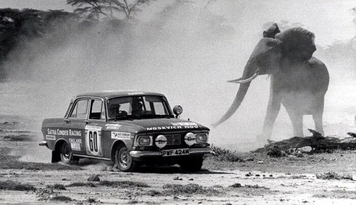 Африканский слон и советский автомобиль Москвич. Кения, 1975 год - Фотография, Черно-белое фото, Москвич 408, Пленка, 1975, Авто, Кения