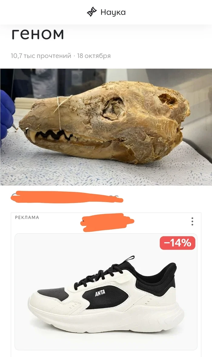 Scientists find head of marsupial wolf - My, Sneakers, Similarity, Advertising, Humor, Shoes, Wolf