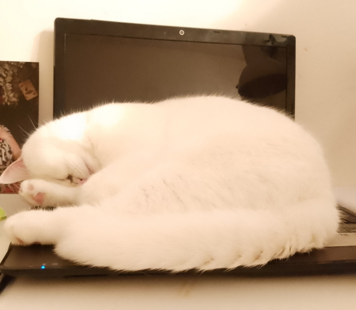 ��� ��������� ��������������