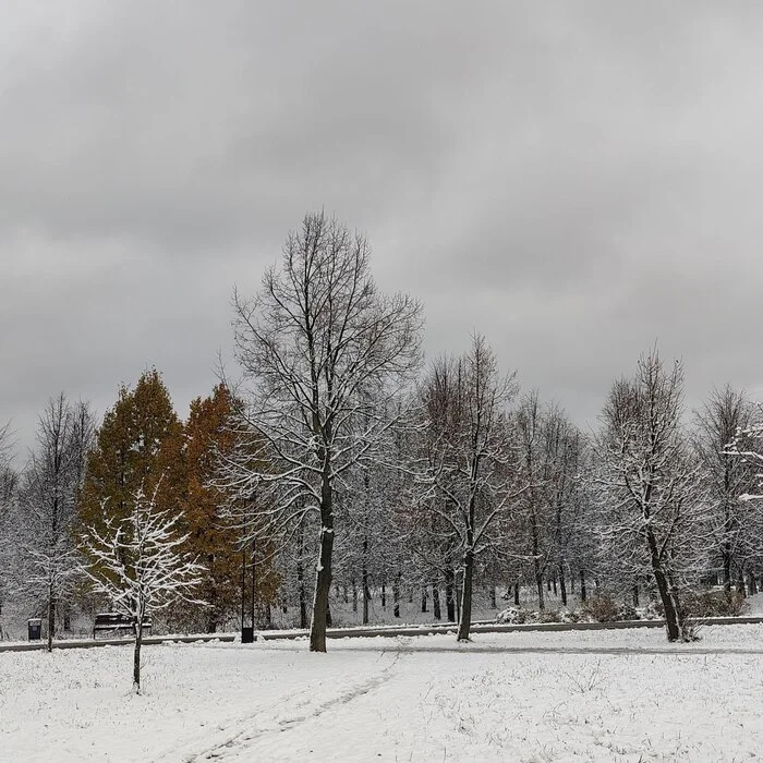 Зима наступила - Чувства, Эмоции, Психологическая помощь, Психология, Человек, Зима, Настроение, Спокойствие, Надежда, Одиночество, Жизнь, Люди, Мир, Свобода, Снег, Очищение, Саморазвитие, Самопознание, Мысли, Комфорт, Длиннопост