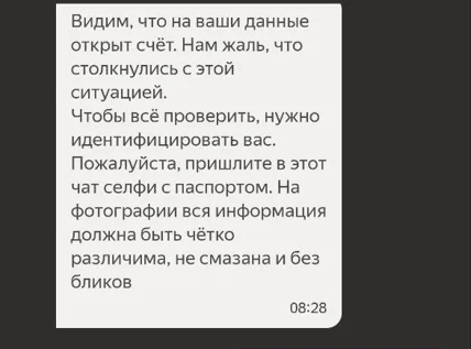 Yandex.Pay - when you don't really need clients - My, Support service, Customer focus, Yandex., Longpost, A complaint