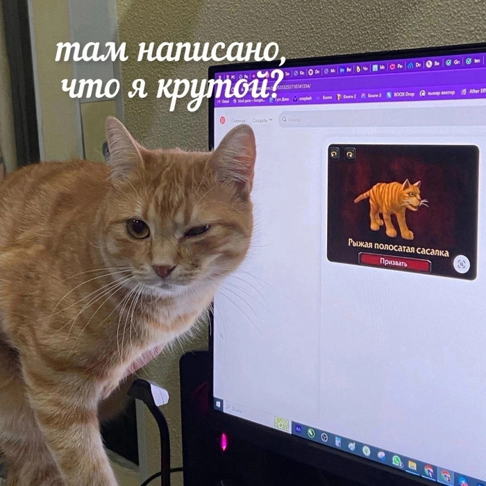   , World of Warcraft,   