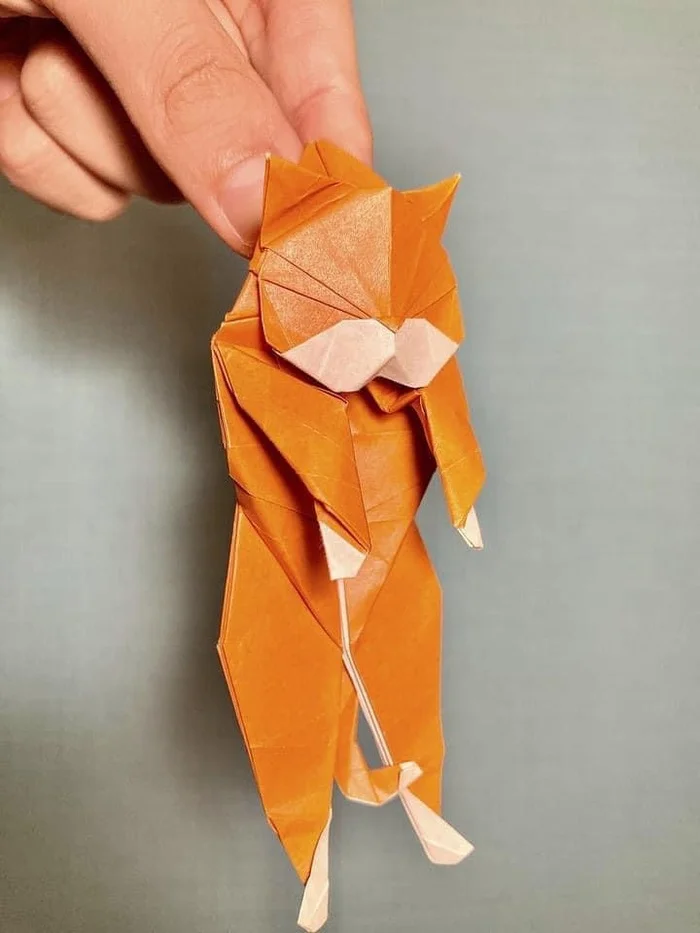 Kotoorigami - cat, Origami, Longpost