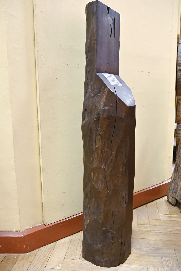      ,         1920 .      ( , . -).