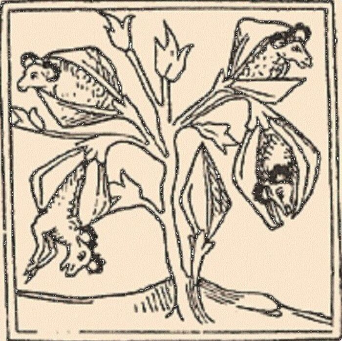        .    <!--noindex--><a href="https://pikabu.ru/story/istoriya_khlopkovodstva_12007528?u=http%3A%2F%2Fwww.yaturistic.ru&t=www.yaturistic.ru&h=59b284d158b4c790f983e5920d02bd17b710054d" title="http://www.yaturistic.ru" target="_blank" rel="nofollow noopener">www.yaturistic.ru</a><!--/noindex-->