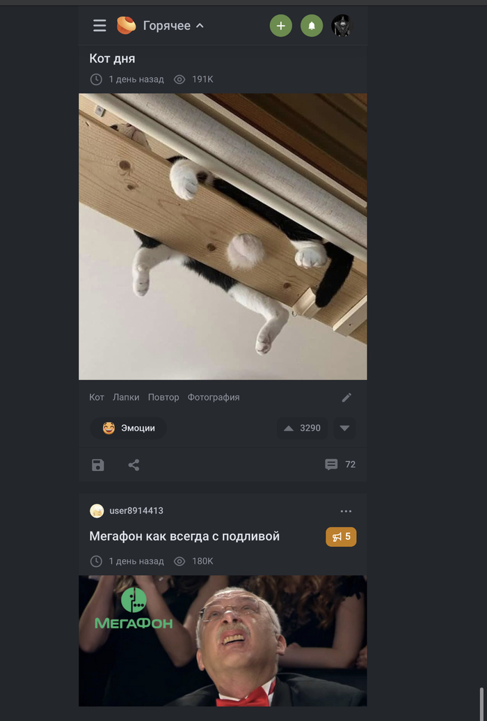 В ленте посты попались друг за другом)