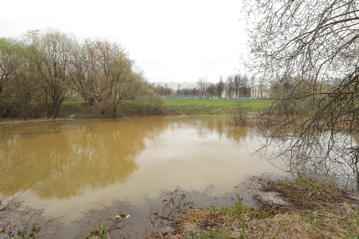 Варшавские пруды