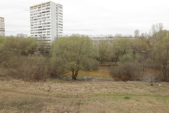 Варшавские пруды