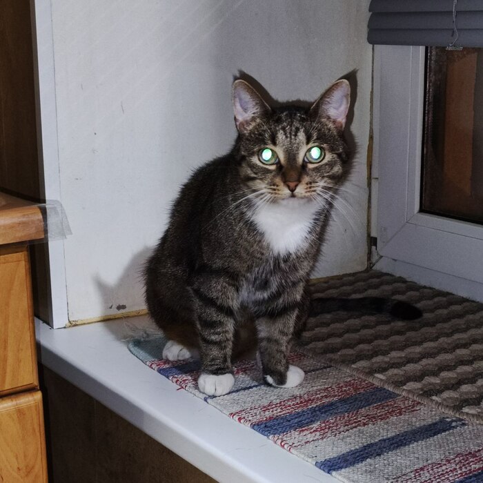 Лазером пыщ-пыщ