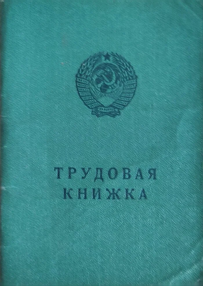 История моего увольнения - Моё, Увольнение, Маленькая зарплата, Истории из жизни, Детская поликлиника, Дела житейские, Зарплата, Telegram (ссылка), Длиннопост