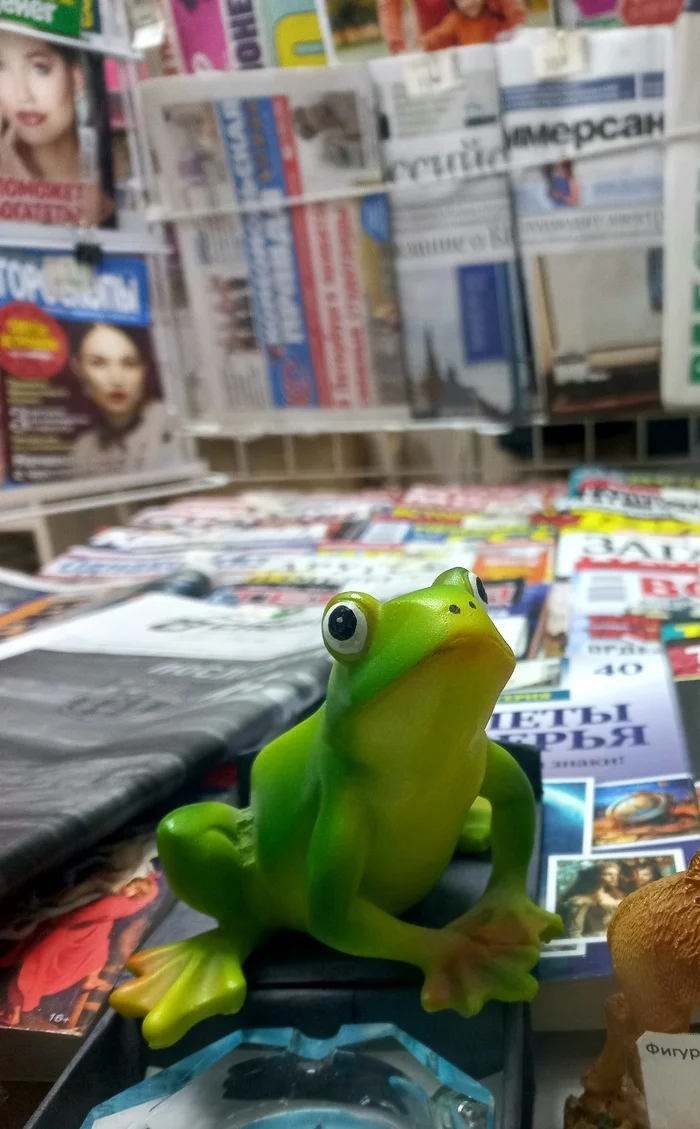 Happy Wednesday! - My, Frogs, Newspapers, Photo on sneaker, Wintering, It Is Wednesday My Dudes, Wednesday, Figurines, The photo