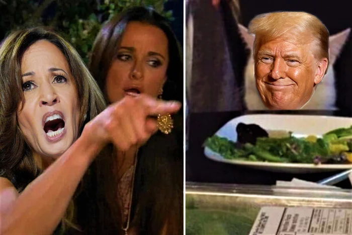 Trump who won - US elections, Donald Trump, Kamala Harris, Two women yell at the cat, Images, Politics