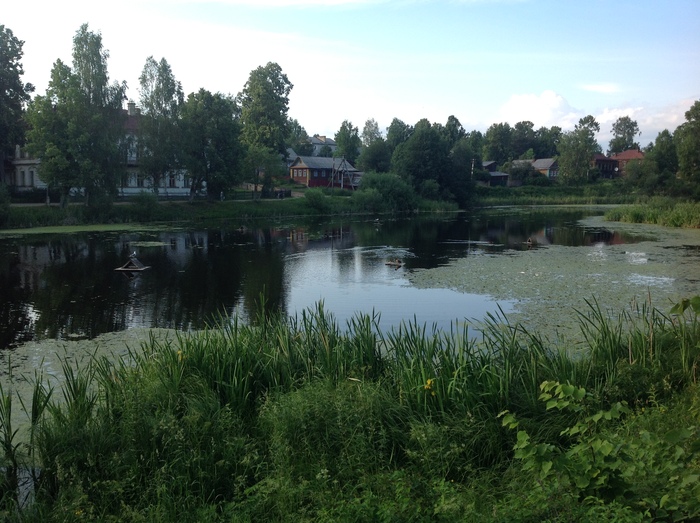 Пруд в Кологриве