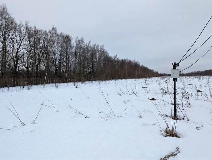 Пчеловодство. Начало - Моё, Пчелы, Пчеловодство, Хобби, Длиннопост