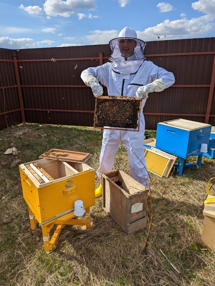 Заселение 2 пчелопакетов по 4 рамки пчёл в каждом