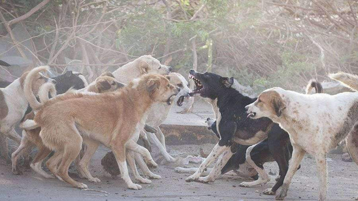 �� ����� ������������!