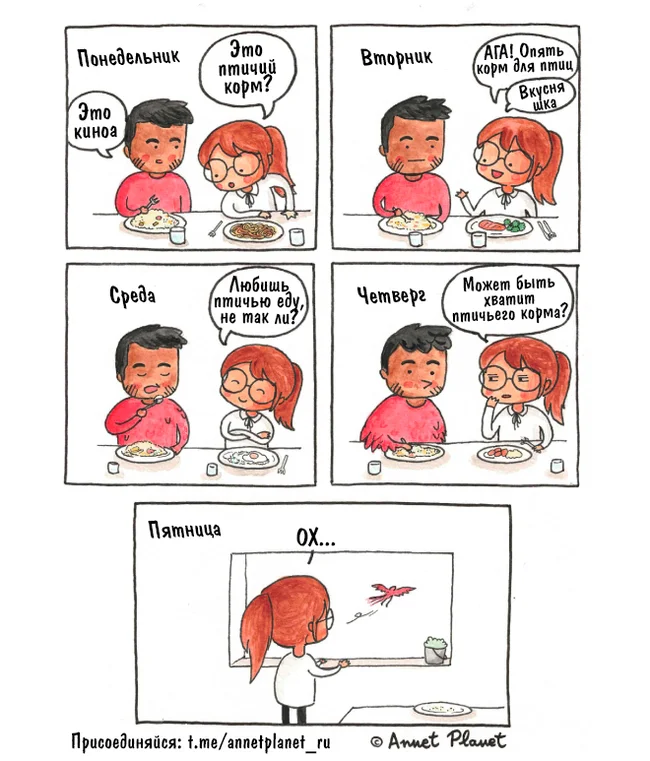 Quinoa - Translation, Comics, Annetplanet, Birds, Quinoa