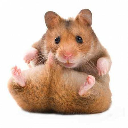 Нравится, очень нравится короткая неделя